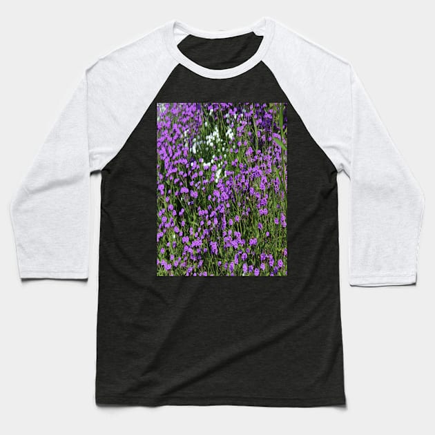 Photo Violet Fields of Flowers Baseball T-Shirt by k-creatif